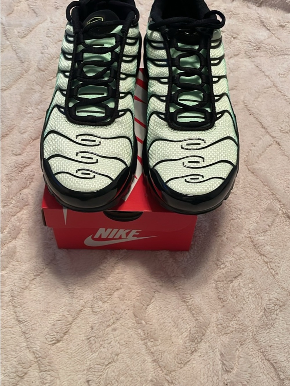 Nike TN Air Max Plus Trainers in Mint and Black